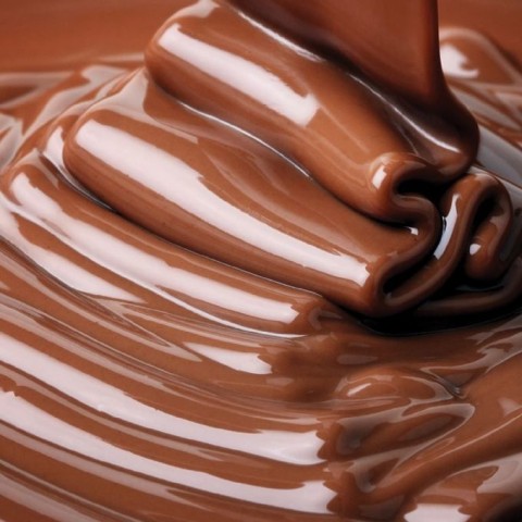 The Wonderful World of Chocolate