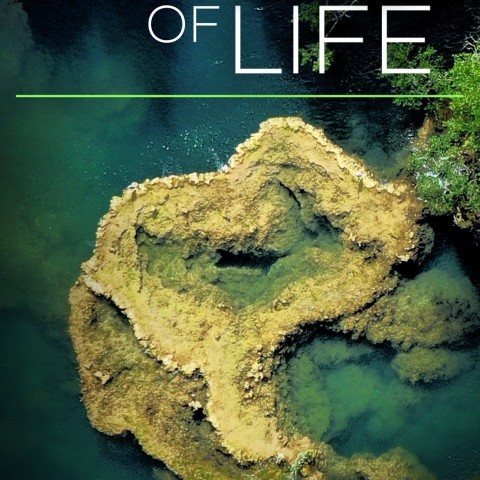 Rivers of Life