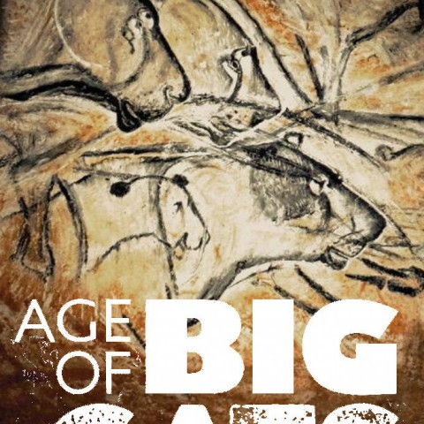 Age of Big Cats