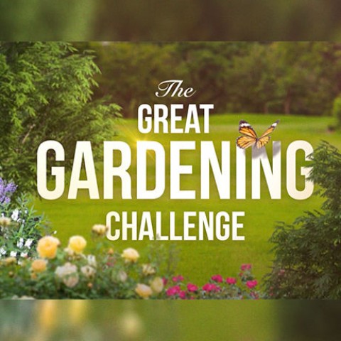 The Great Gardening Challenge