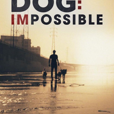 Dog: Impossible