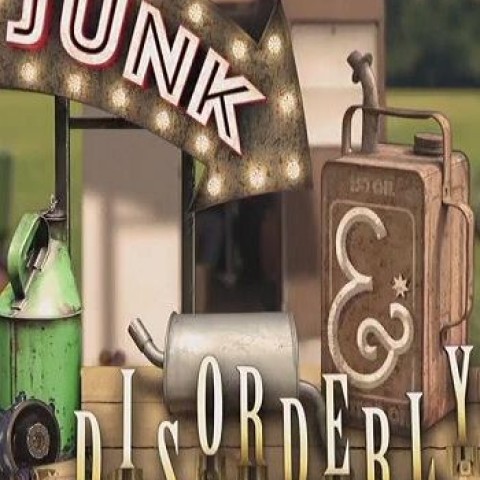Junk and Disorderly