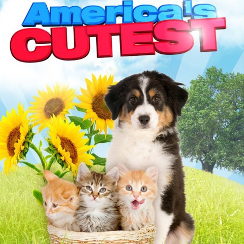 America's Cutest