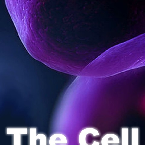 The Cell