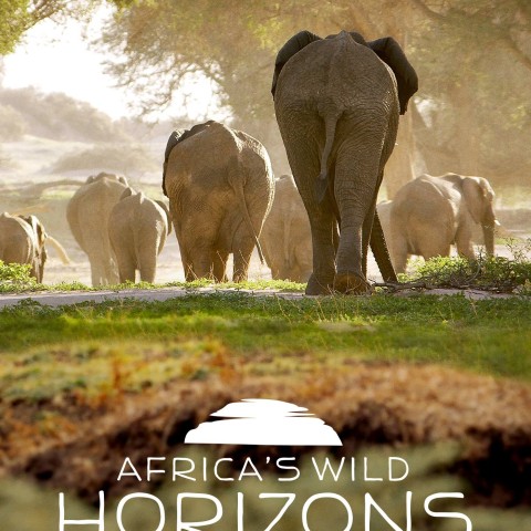 Africa's Wild Horizons