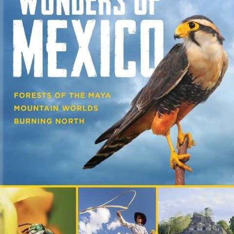 Wonders of Mexico