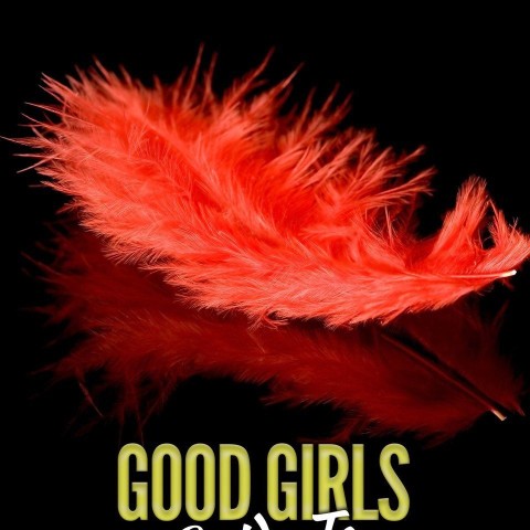Good Girls' Guide to Kinky Sex