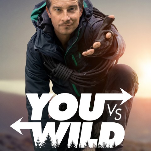 You vs. Wild