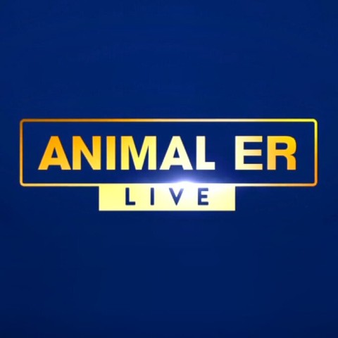 Animal ER Live