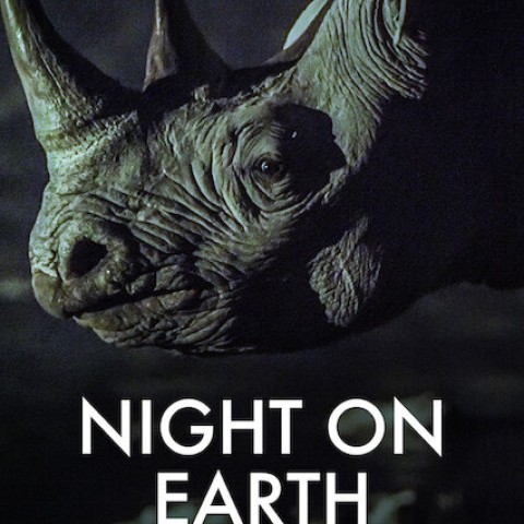 Night on Earth