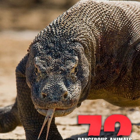 72 Dangerous Animals: Asia