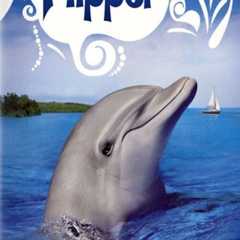 Flipper