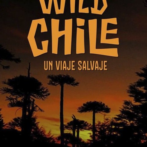 Wild Chile: Un Viaje Salvaje