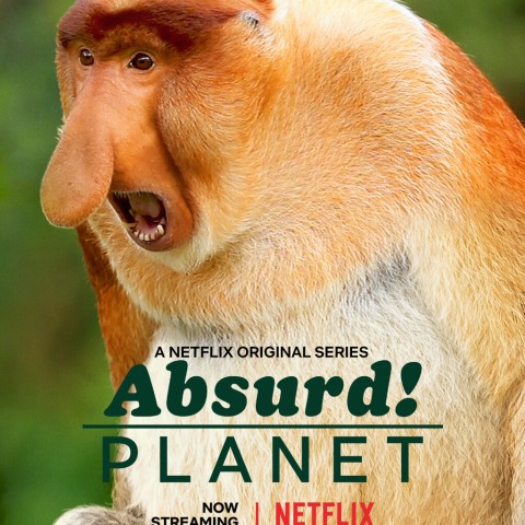 Absurd Planet