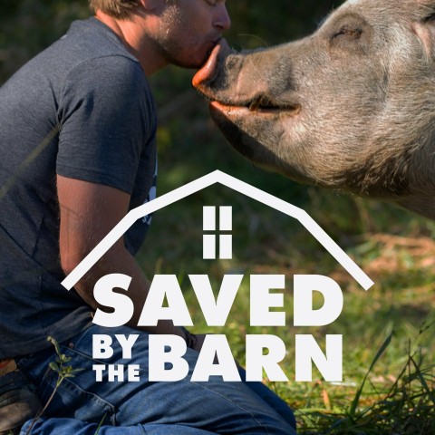 Saved by the Barn