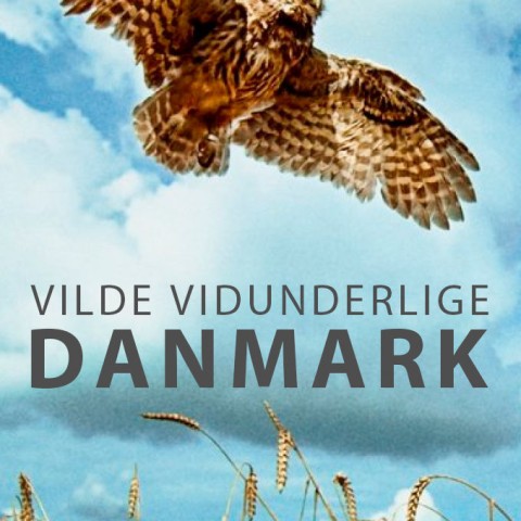 Vilde Vidunderlige Danmark