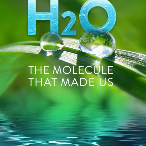 H2O: The Molecule That Made Us