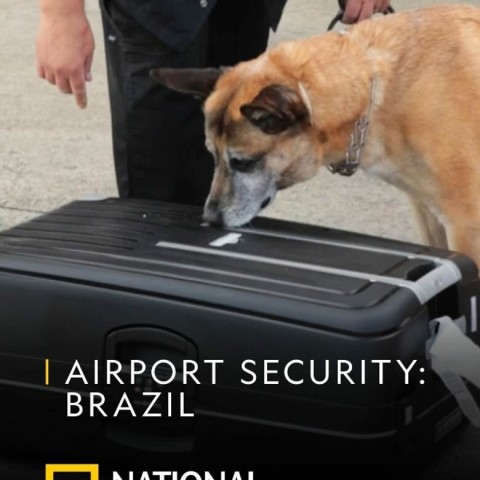 Airport Security: Brazil