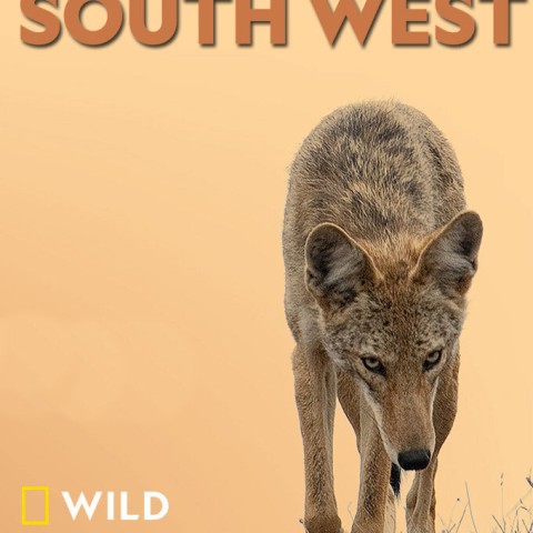 Wild South West