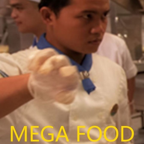 Mega Food