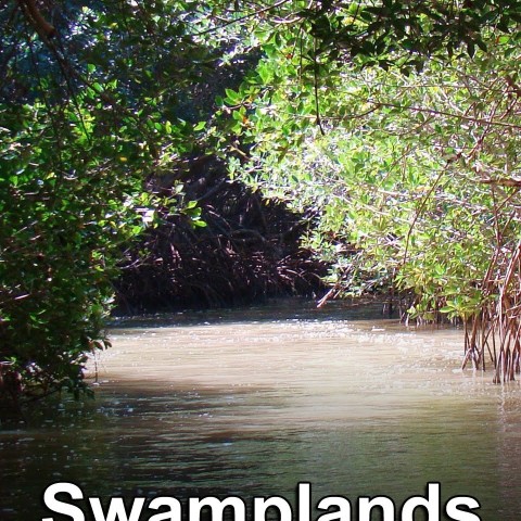 Swamplands USA