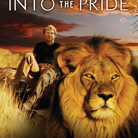 Into the Pride