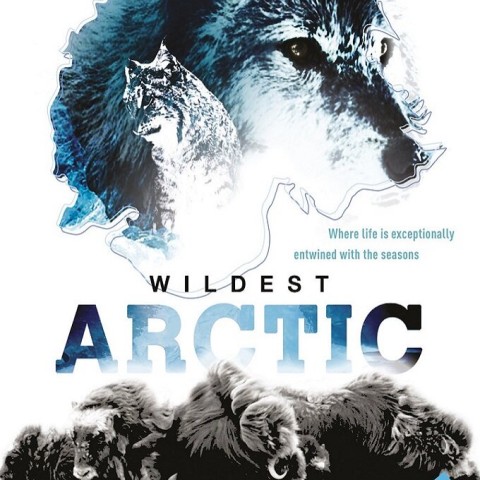 Wildest Arctic