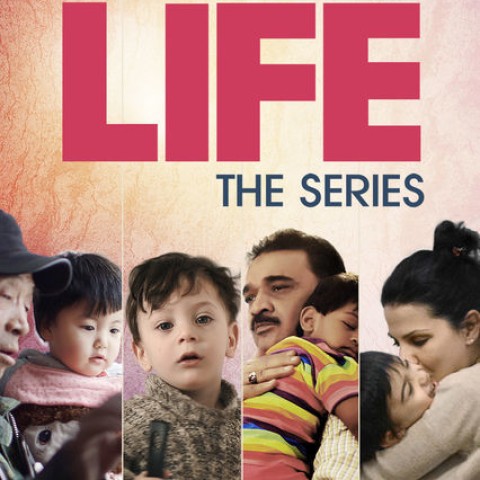 The Beginning of Life: The Series