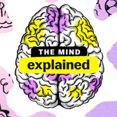 The Mind, Explained