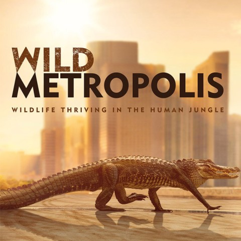 Wild Metropolis