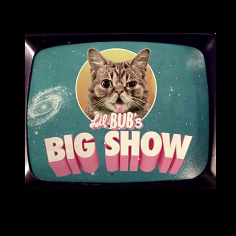 Lil BUB's Big SHOW