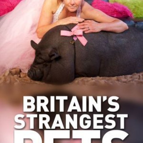Britain's Strangest Pets