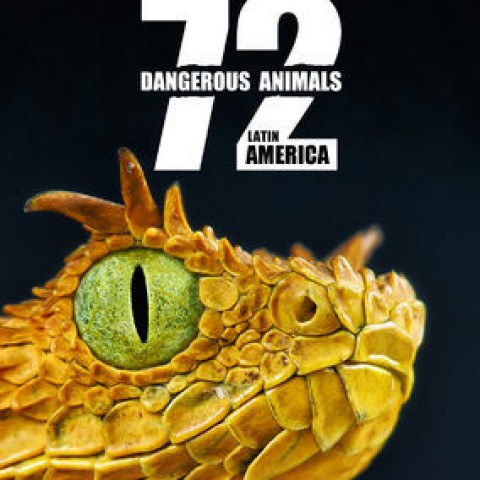 72 Dangerous Animals: Latin America