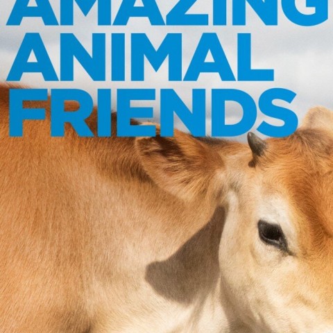 Amazing Animal Friends