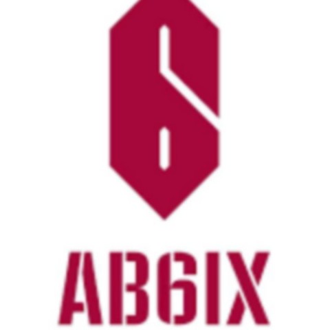 AB6IX Brand New Boys