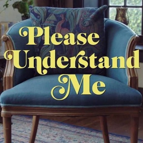 Please Understand Me