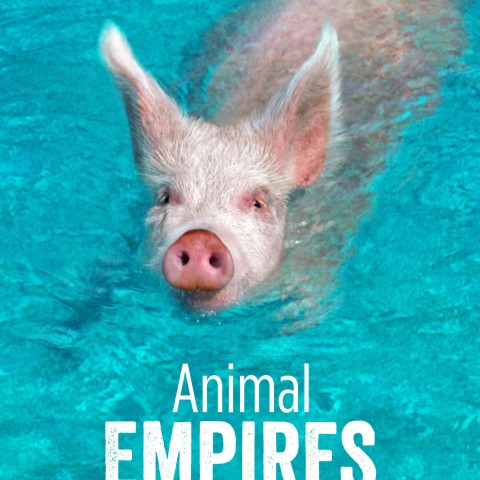 Animal Empires