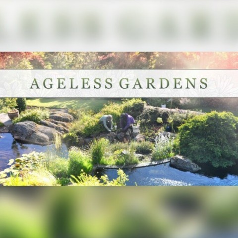 Ageless Gardens