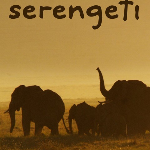 Nomads of the Serengeti