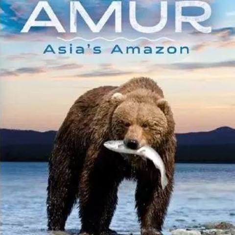 Amur Asia's Amazon