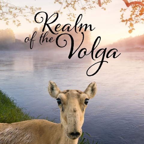 Realm of the Volga