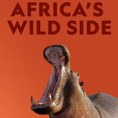 Africa's Wild Side