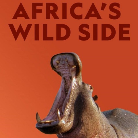 Africa's Wild Side