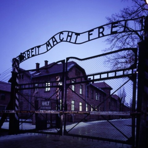 Auschwitz: Hitler's Final Solution