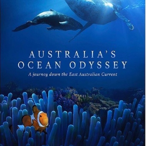 Australia's Ocean Odyssey: A Journey Down the East Australian Current