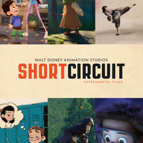 Short Circuit