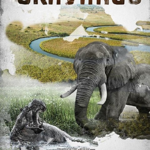 Okavango: River of Dreams