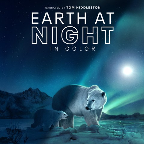 Earth at Night in Color