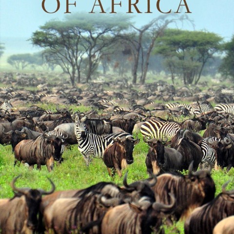 Great Parks of Africa