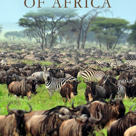 Great Parks of Africa